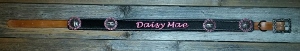 Custom Dog Collar