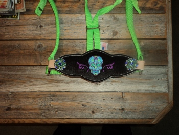Bronc Halter; Sugar Skull